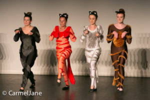 Molly Vickers Show 2017